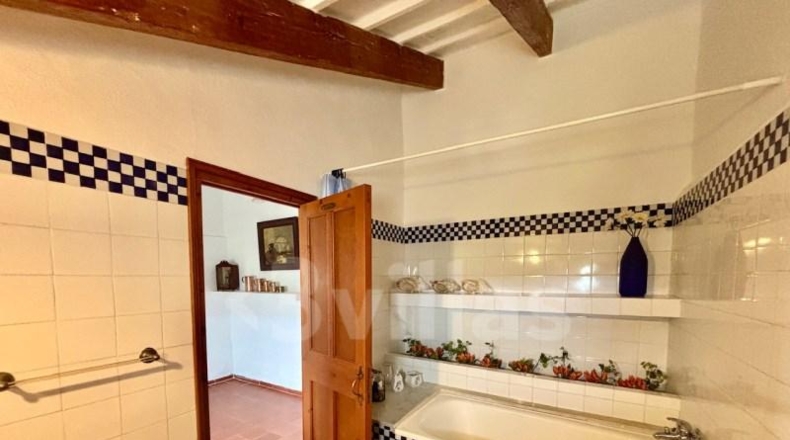 Balearic Islands - Alayor - 3968m2