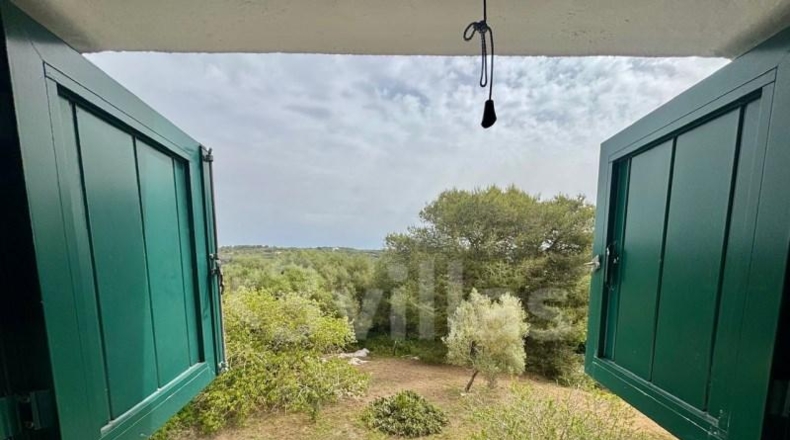 Balearic Islands - Alayor - 3968m2