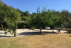 Foto 14