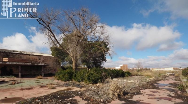 Ciudad Real - Tomelloso - 350000m2