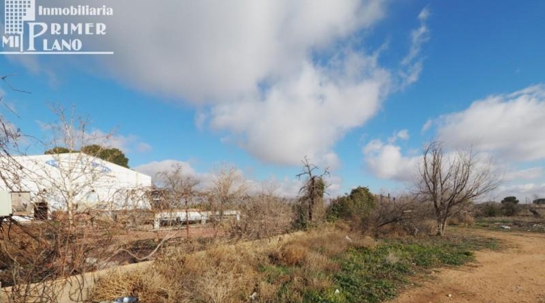 Ciudad Real - Tomelloso - 350000m2