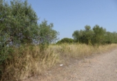 Parcela urbanizable en venta en la España, Reus, ref: TR332008 foto