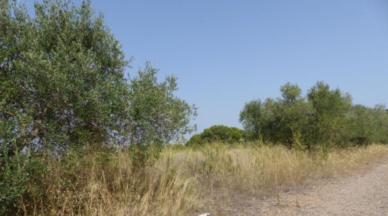 Tarragona - Reus - 25m2