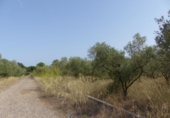 Parcela urbanizable en venta en la España, Reus, ref: TR332008 foto