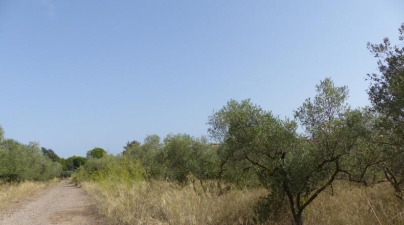 Tarragona - Reus - 25m2