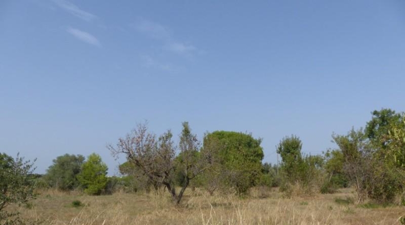 Tarragona - Reus - 25m2