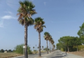 Parcela urbanizable en venta en la España, Reus, ref: TR332008 foto