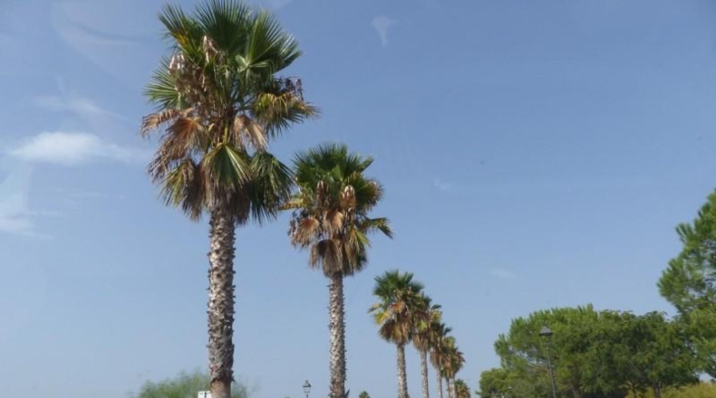 Tarragona - Reus - 25m2