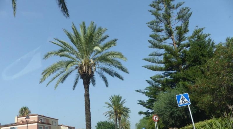 Tarragona - Reus - 25m2