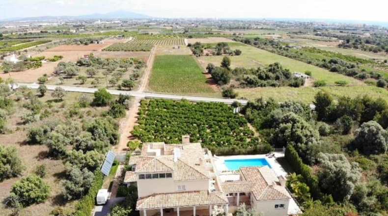 Castellón - Peníscola - 4900m2