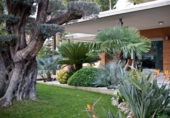 Detached villa with land for sale on España, La Eliana, ref: TR141082 photo