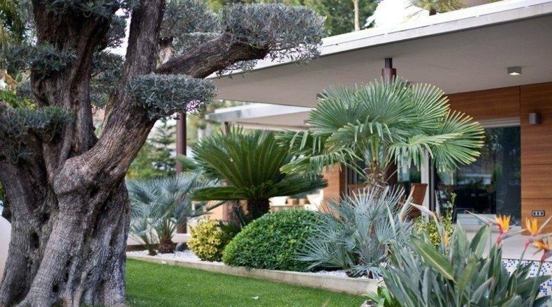 Valencia - La Eliana - 1200m2