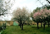 Sòl urbà en venda a la España, Segòvia, ref.: TR117409 foto