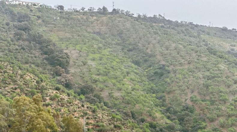 Málaga - Màlaga - 522000m2