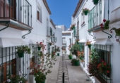 Xalet independent amb terreny en venda a la España, Estepona, ref.: TR239301 foto