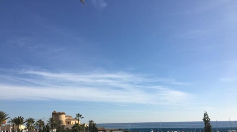 Alicante - Pilar de la Horadada - 338m2