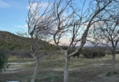 Urban land for sale on España, Pratdip, ref: TR341336 photo