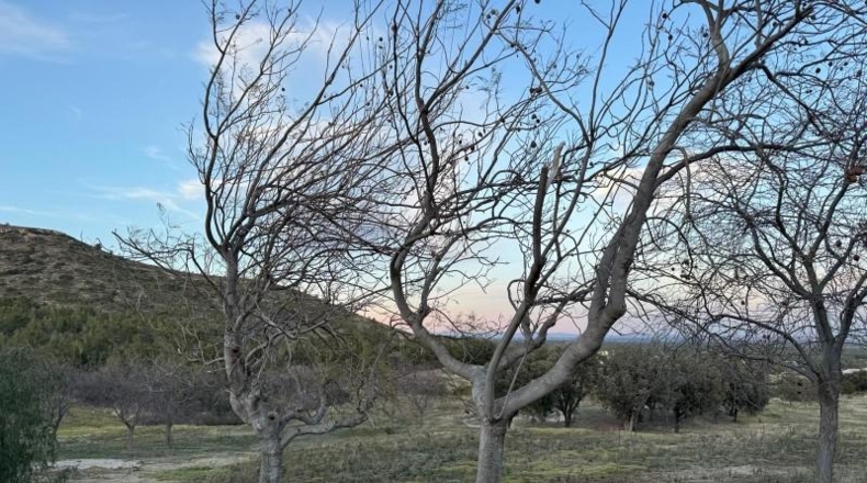 Tarragona - Пратдип - 3588m2