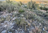Urban land for sale on España, Pratdip, ref: TR341336 photo