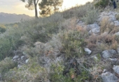 Urban land for sale on España, Pratdip, ref: TR341336 photo