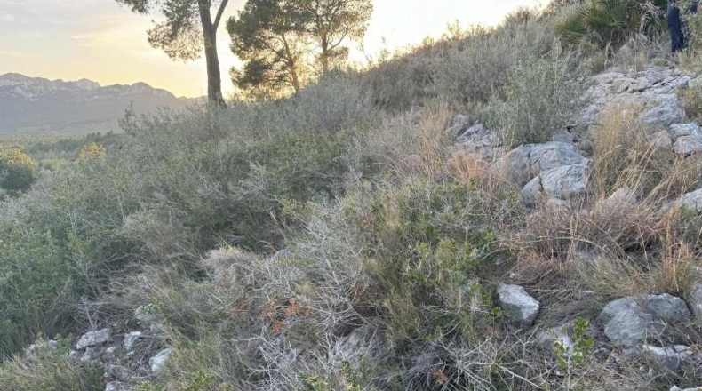Tarragona - Пратдип - 3588m2