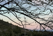 Urban land for sale on España, Pratdip, ref: TR341336 photo