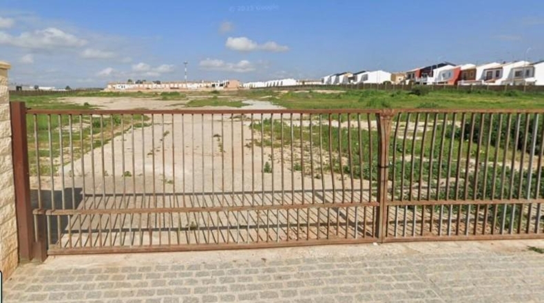 Sevilla - Pilas - 20000m2
