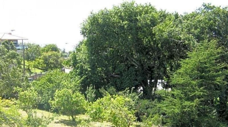 Pontevedra - Vigo - 6300m2