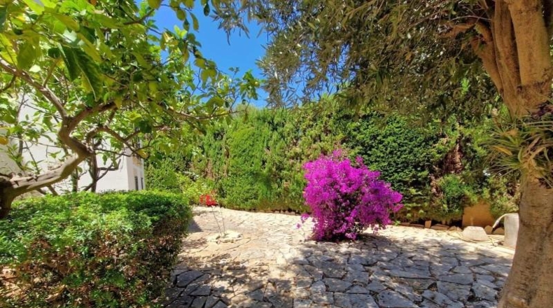 Islas Baleares - Palma - 630m2