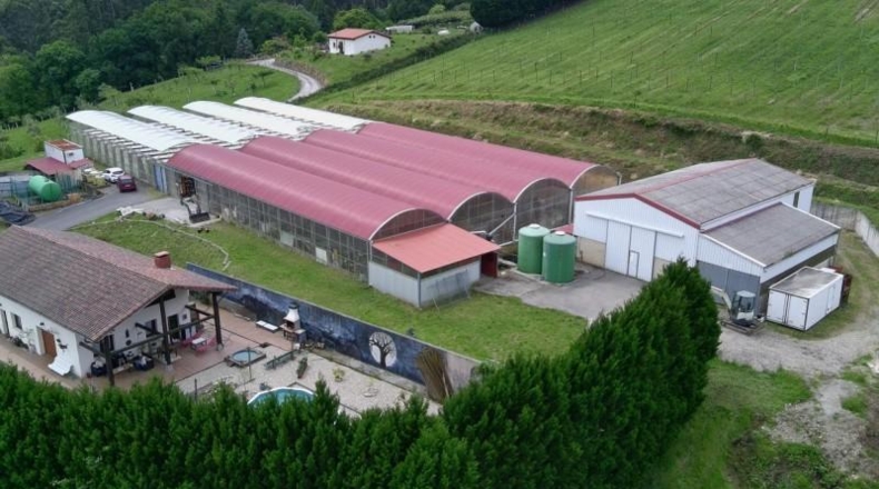 Vizcaya - Munguía - 150000m2