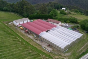 Baquio 150000&nbsp;m² 