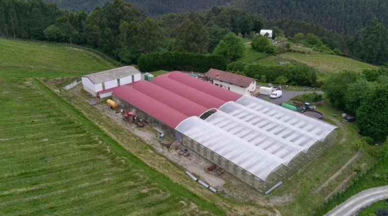 Vizcaya - Munguía - 150000m2