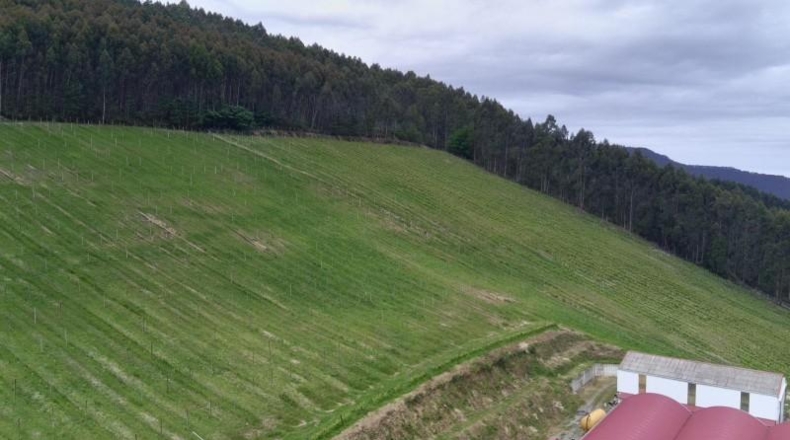Vizcaya - Munguía - 150000m2