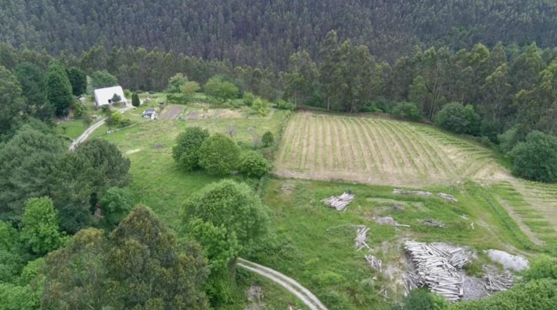 Vizcaya - Munguía - 150000m2