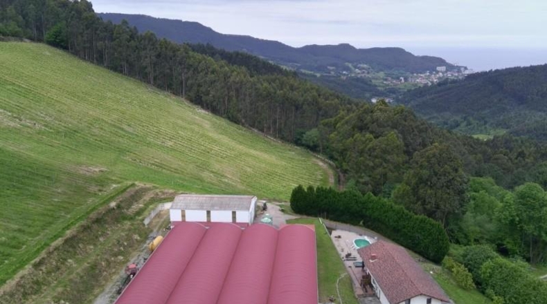 Vizcaya - Munguía - 150000m2