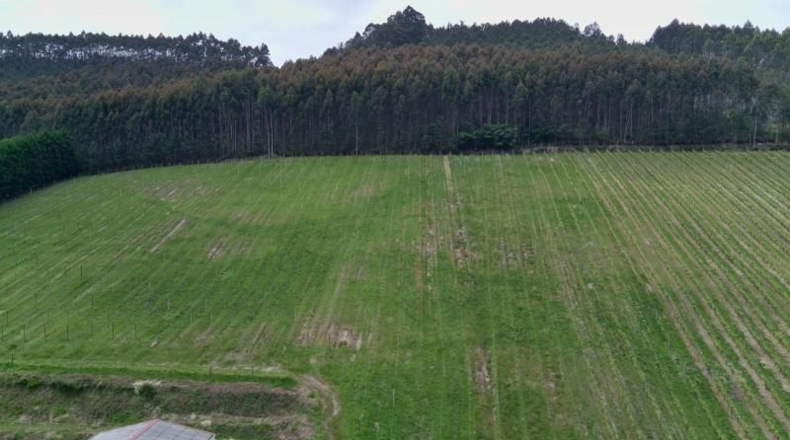 Vizcaya - Munguía - 150000m2