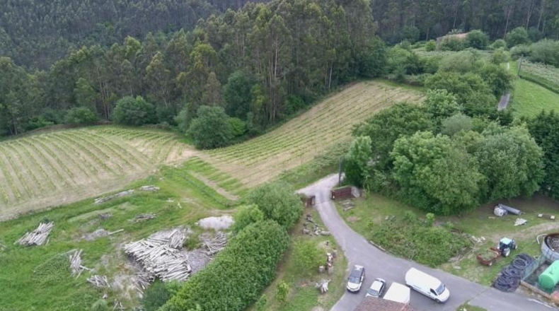 Vizcaya - Munguía - 150000m2