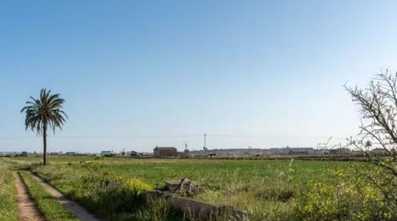 Islas Baleares - Palma - 93000m2