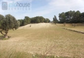 Xalet independent amb terreny en venda a la España, Calvià, ref.: TR144041 foto