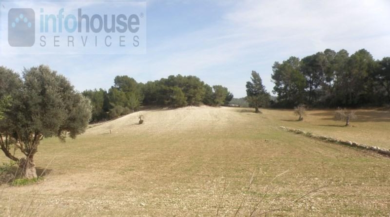 Islas Baleares - Calvià - 144916m2