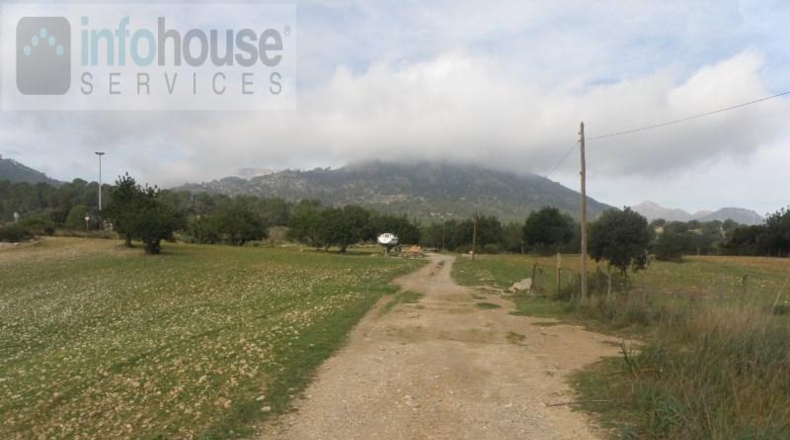 Islas Baleares - Calvià - 144916m2