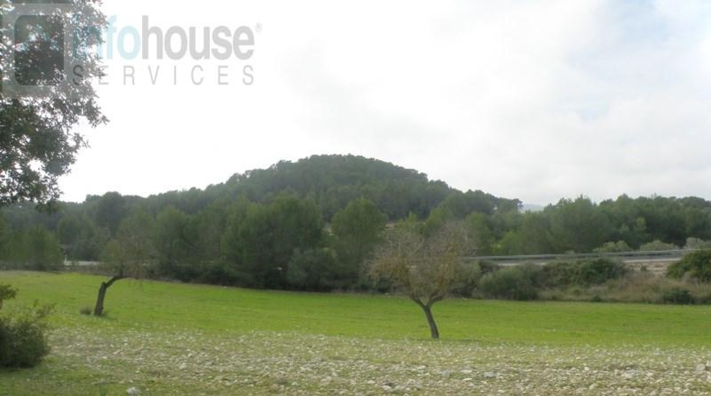 Islas Baleares - Calvià - 144916m2
