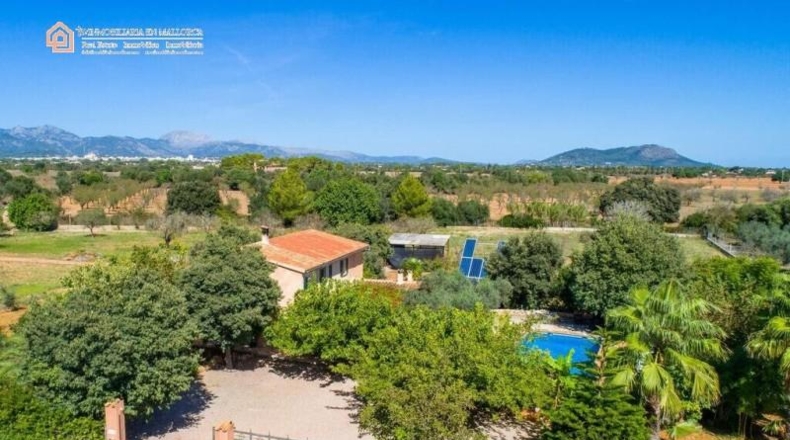 Balearic Islands - Sencelles - 10000m2