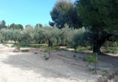 Xalet independent amb terreny en venda a la España, Mutxamel, ref.: TR241445 foto