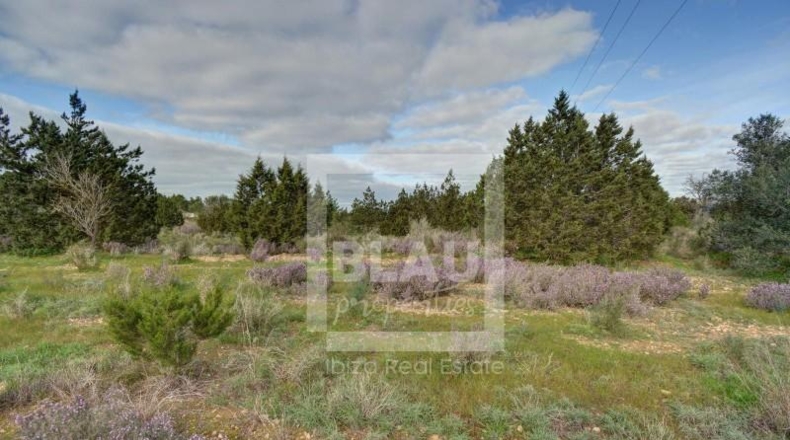 Balearic Islands - Sant Josep de sa Talaia - 18951m2