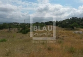 Non-developable land for sale on España, Sant Josep de sa Talaia, ref: TR204920 photo