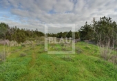 Non-developable land for sale on España, Sant Josep de sa Talaia, ref: TR204920 photo