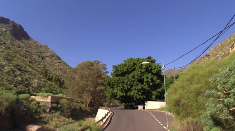 Santa Cruz de Tenerife - Santa Cruz de Tenerife - 377000m2