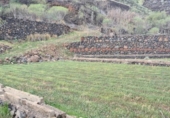 Sòl urbà en venda a la España, Santa Cruz de Tenerife, ref.: TR218062 foto