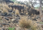 Sòl urbà en venda a la España, Santa Cruz de Tenerife, ref.: TR218062 foto
